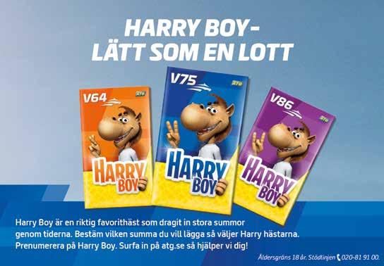 Ies Signe, efter Zola Boko och sjätte avkomman till Miss Tessami, 5 segrar på 65 starter, var vinnaren i det andra Babyrace-Serien 08 för sin tränare Fredik Wallin med Ies Signe mot stallkompisen Ies
