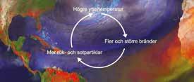 Solstormar och norrsken När det stormar på solens yta sker ibland solutbrott; våldsamma eruptioner av elektriskt