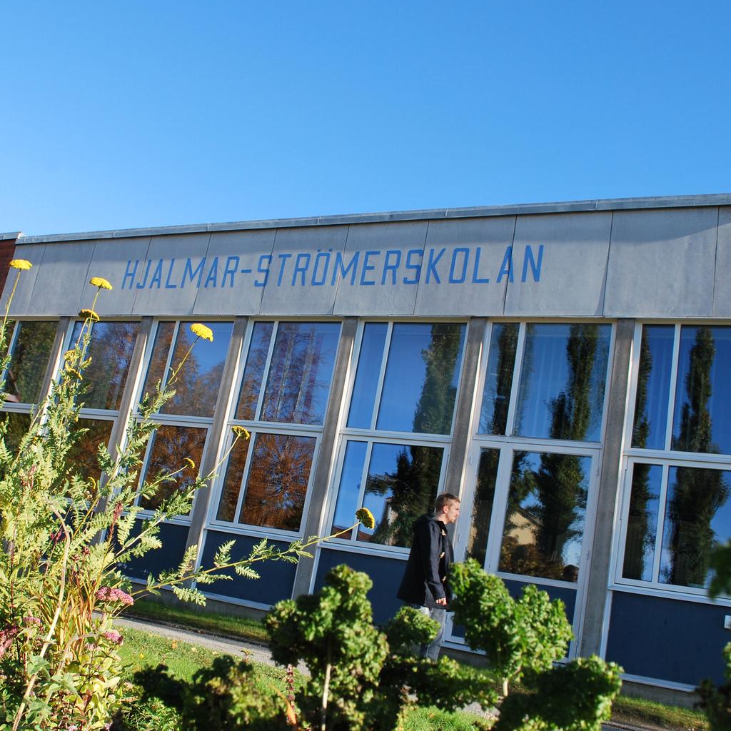 2 hjalmar.