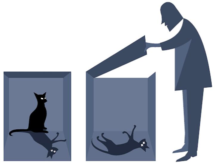 ERIK B KARLSSON Schrödingers katt Som exempel på hur orimliga kvantfysikens följder blir om den tillämpas konsekvent även på makroskopiska objekt, tänkte sig Schrödinger en katt instängd i en låda.