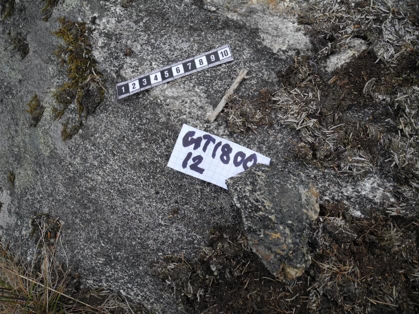Tabell 1. Innehållet (medel, min max.) av dominerande mineralfaser i volymprocent för de olika gnejsbergarterna inom utredningsområdet. I gruppen glimmer ingår mineralen biotit, muskovit och klorit.