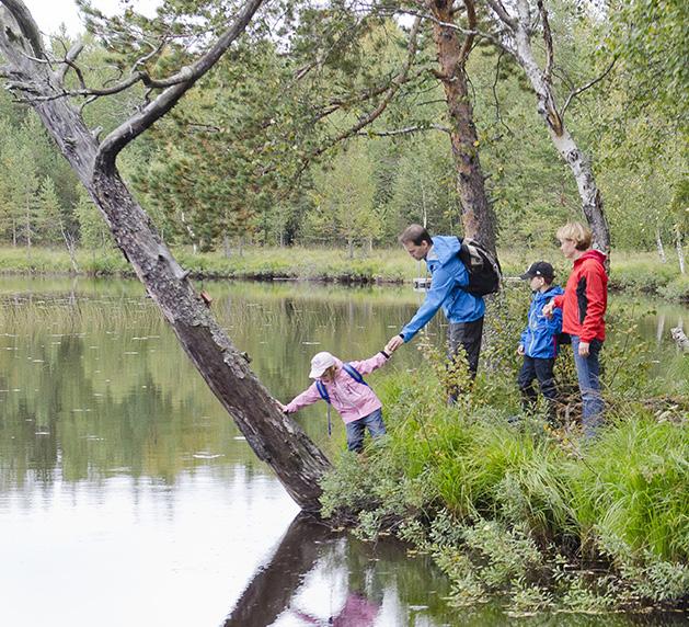 Grönområden och vattenområden På Hertsön och Lerbäcken finns stora grönytor med olika kvaliteter och funktioner. Variationen med naturmark, parkmark och besöksområden är en tillgång för området.
