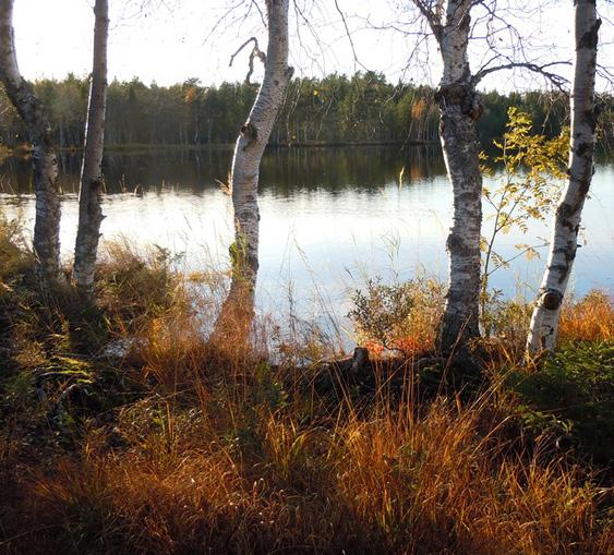 Hänsyn naturvärden och kulturmiljövärden Syftet med Ormberget-Hertsölandets naturreservat är att skydda de unika naturvärden som finns inom området samtidigt som områdets rekreativa kvalitéer för