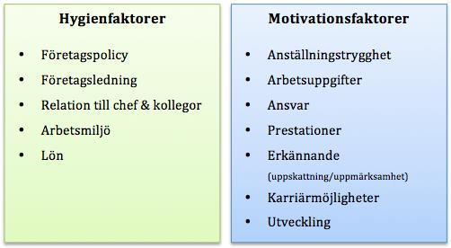 koncentration och noggrannhet i utförande av arbetsuppgifter kan ge sken av medarbetarens arbetsmotivation (Andersson et al., 2013).