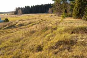 Figur 10-11 Tung trafik under byggskedet Figur 10-12 Vattendrag i arbetsområdet kan utsättas för risk för grumling som kan skada växt- och djurlivet i vattnet Figur 10-13 Assjö gravfält i