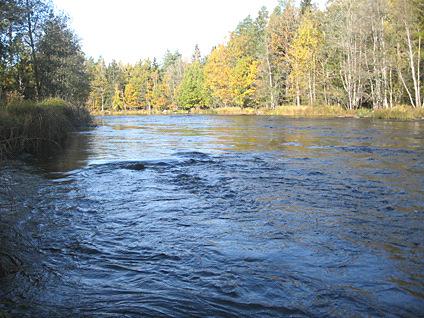 Em12. Emån, Smederum Datum: 211-1-21 Kommun: sby Koordinat: 6333616/1531245 RT9 1-2 m uppströms "parkeringsfickan", -1 m uppströms videbusken.