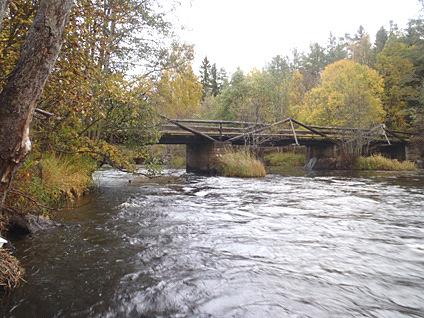Em24. Emån, Fredriksborg Datum: 211-1-19 Kommun: sby Koordinat: 635187/15676 RT9 5-15 m nedströms träbron.