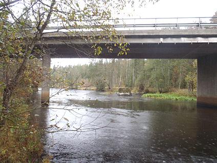 Em5. Emån, Kungsbron Datum: 211-1-19 Kommun: Vetlanda Koordinat: 636456/148344 RT9 5-15 m nedströms bron, längs västra kanten.
