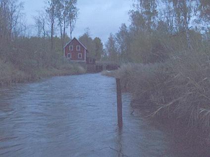 Em52B. Silverån, Hagelsrum Datum: 211-1-18 Kommun: Hultsfred Koordinat: 636537/15343 RT9 Ca 1 m nedströms dämmet. Från stor sten och 1 m uppströms.