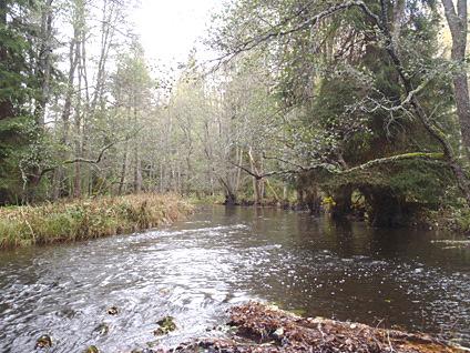 Em582. Brusaån, Sjöbo Datum: 211-1-19 Kommun: Eksjö Koordinat: 638692/148827 RT9 Cirka 1 m nordost om Sjöbo.