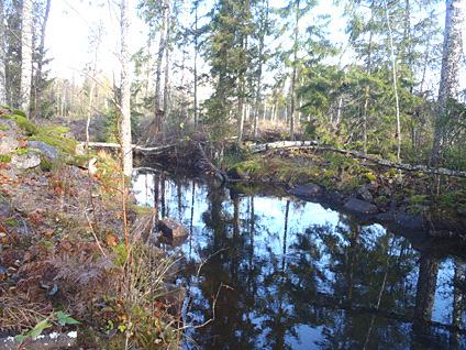 Em714. Pauliströmsån, uppstr. Snickared. Datum: 211-1-19 Kommun: Vetlanda Koordinat: 6372211/148264 RT9-1 m nedströms blockhög, ca 1 m nedströms vattenverk.
