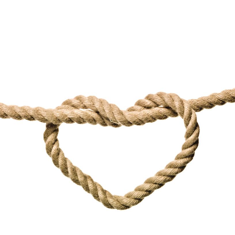 Verksamhetsrapport