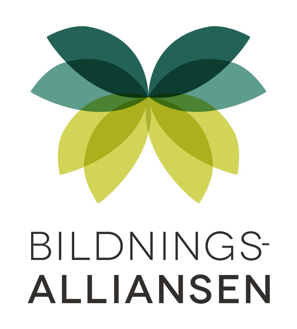 Verksamhetsplan 2017