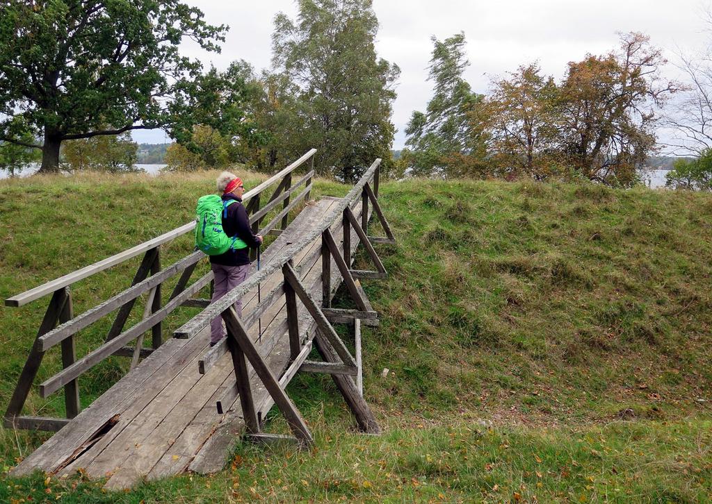 Vandrandet på asfalt får välkommet avbrott när vi på