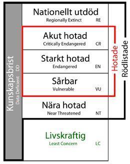 4 FÖRUTSÄTTNINGAR 4.1 NATURVÅRDSARTER Naturvårdsart är ett samlingsbegrepp för skyddade arter, fridlysta arter, rödlistade arter, typiska arter, ansvarsarter och signalarter.