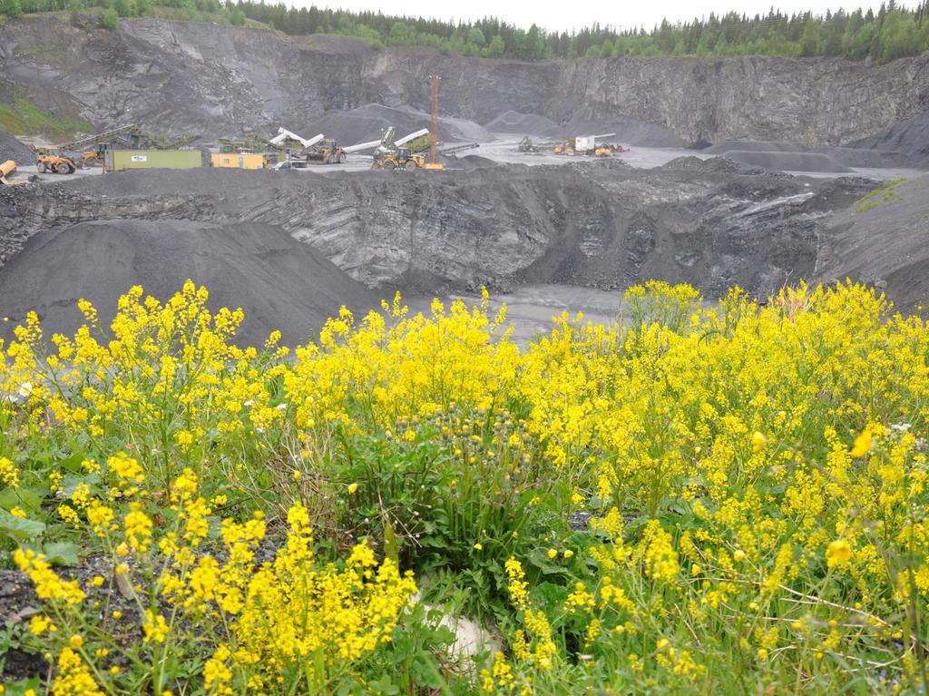 nspiration till att skapa bra natur i täkter BIOLOGISK