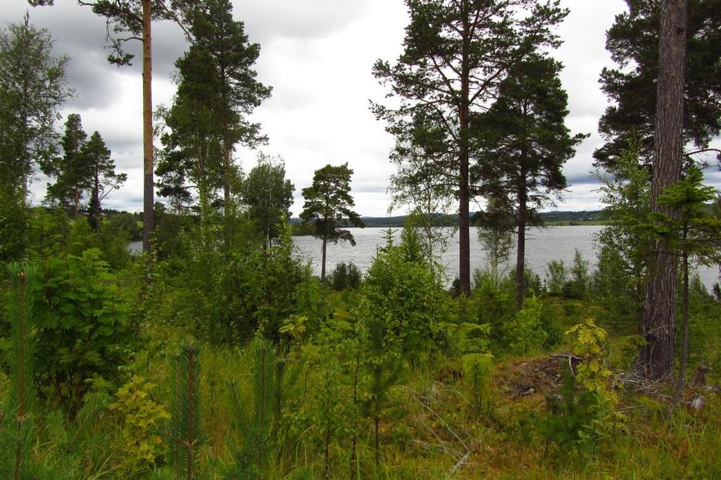 Naturvärdesinventering 2015-09-02