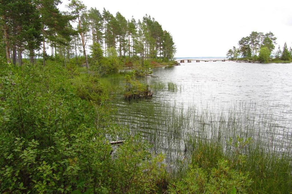 område B.