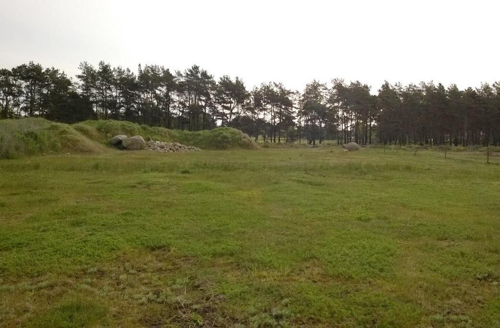3.1 YTOBJEKT Nedan presenteras områden med identifierade naturvärden. Naturvärdesobjekt AHUS_14_108_1 Naturvärdesklass 2 Högt naturvärde Biotopvärden: Sandig mager gräsmark, blottor.