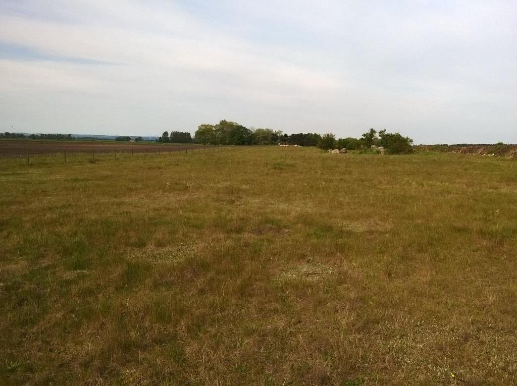 Naturvärdesobjekt AHUS_14_108_2 Naturvärdesklass 3 Påtagliga naturvärden Biotopvärden: Sandig mager gräsmark Beskrivning: Artrik sandig gräsmark som domineras av gräs.