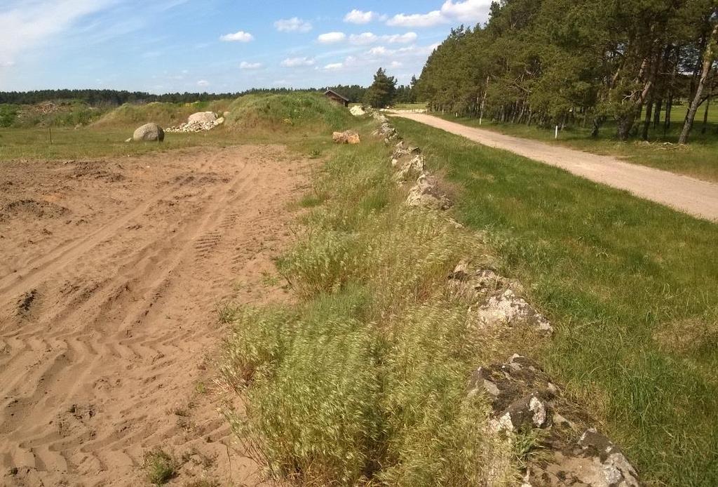 Figur 13. Rad med sten i östra gränsen av föreslagen ny detaljplan.