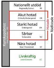 Den svenska rödlistan presenteras av Artdatabanken och är en redovisning av olika arters risk att dö ut i Sverige.