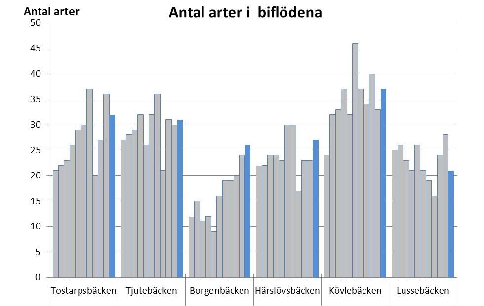 Råån 21 Huvudfårans nedre del På lokalen i Gantofta (Råå7) var artantalet, ungefär som genomsnittet för lokalen. Lokalen bedömdes ha en svag organisk/eutrofierande påverkan.