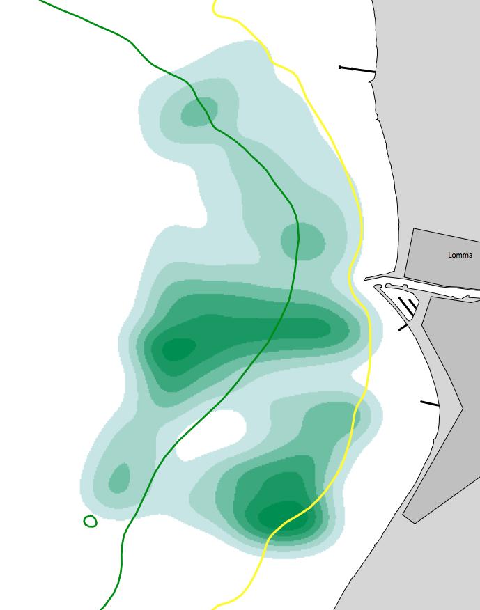 Utbredningskartor för ålgräs i södra Lommabukten 216