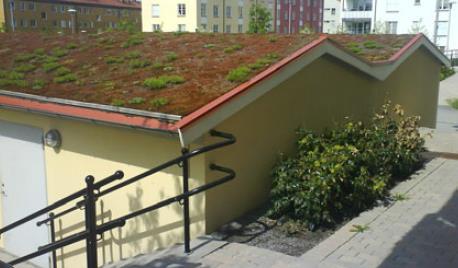 7.3.2 Grönt tak på mindre takytor Gröna tak är ett samlingsbegrepp för vegetationstäckta tak och kan anläggas i syfte att minska och utjämna flöden från takytor.