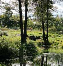 Park och natur Gällande ytterligare information kring ritningsstandard/handlingar se inledande kapitel i avsnittet Gata & trafik i Teknisk Handbok för Håbo kommun.