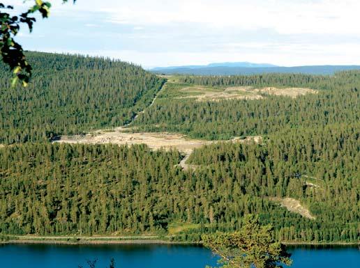 Det var mitt under brinnande världskrig. Bly var en eftertraktad vara.