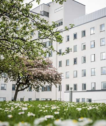 Framgångsfaktor Effektivt miljöarbete Det uppnår vi genom tydliga