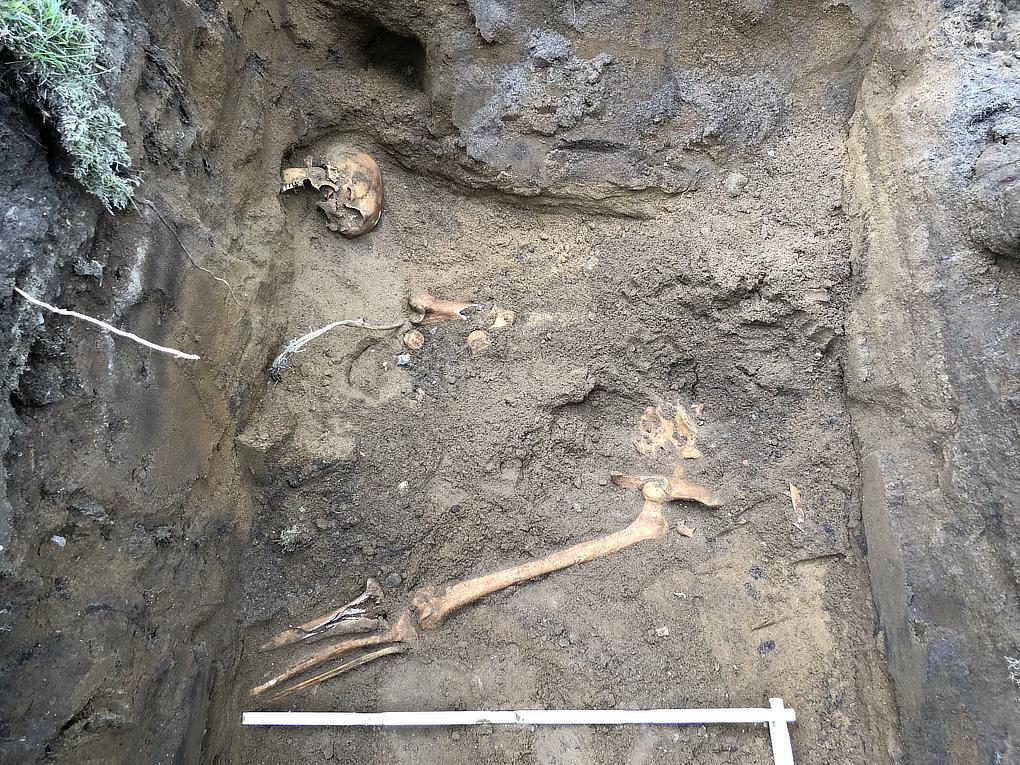 Fig 6. Benfynden vid platsen för stenkistan på kyrkans norra sida (punkt 3). På bilden syns bäckenben, höftben, lårben och vad- samt skenben i förmodad ursprunglig position.