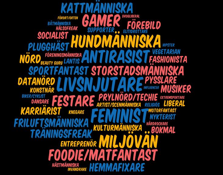 Ungas identitet TJEJER 1. Feminist (46%) 2. Livsnjutare (33%) 3.