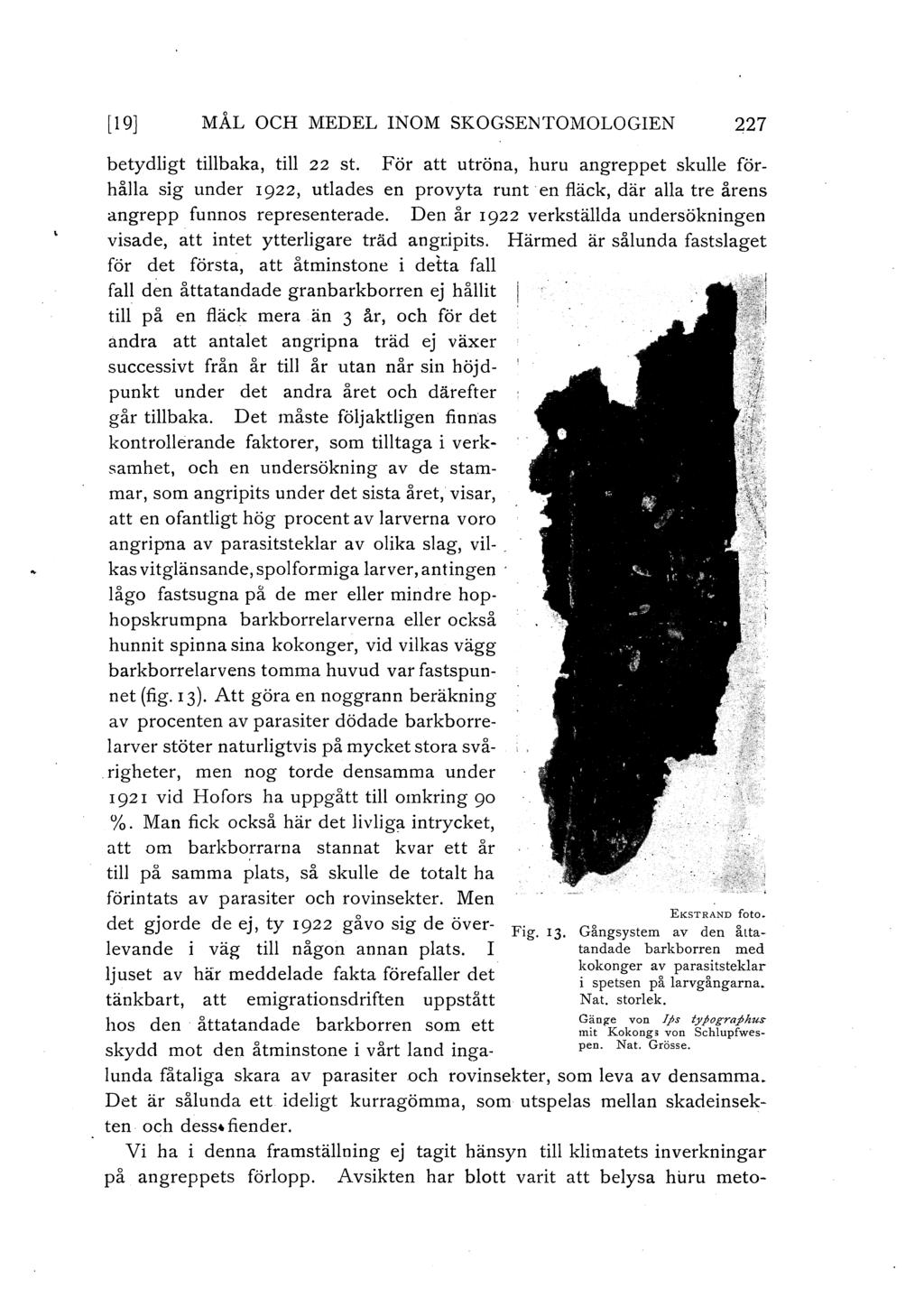 [ 19] MÅL OCH MEDEL INOM SKOGSENTOMOLOGIEN 227 betydligt tillbaka, till 22 st.