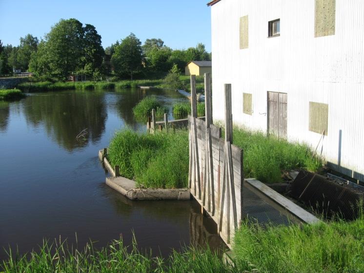 Tabell 4. Förslag på åtgärder mot fysisk påverkan i Dalbergså/Holmsåns åtgärdsområde. Omfattningen visar hur många hektar (ha), antal (st) eller meter (m) som omfattas av åtgärden.