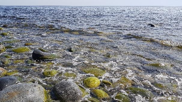 mynning/norafjärden