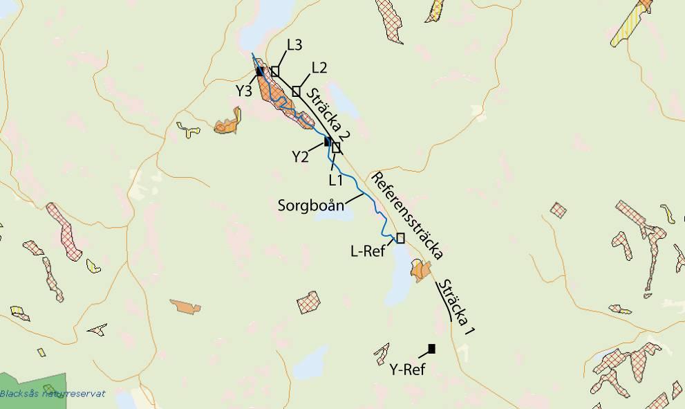 2 Skogsbilvägar 2.1 Generellt Vägnätets kvalitet och tillgänglighet är en viktig fråga för bl.a. skogs- och träindustrin.