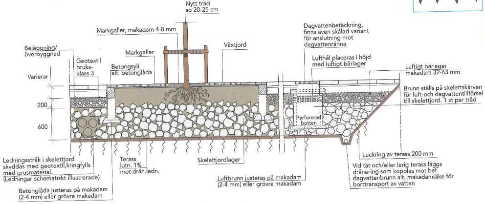 Figur 13. Utformning av skelettjord. Nyplantering av träd i hårdgjord yta med markgaller och infiltration av dagvatten (Svenskt vatten P105).