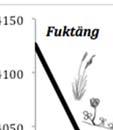 3972-4061 cm över havet hade lågstarrvegetation och hög frekvenss av veke- och ryltåg, men där fanns även rödsvingel och gökblomste er som annars återfinns i fuktängsvegetationen.