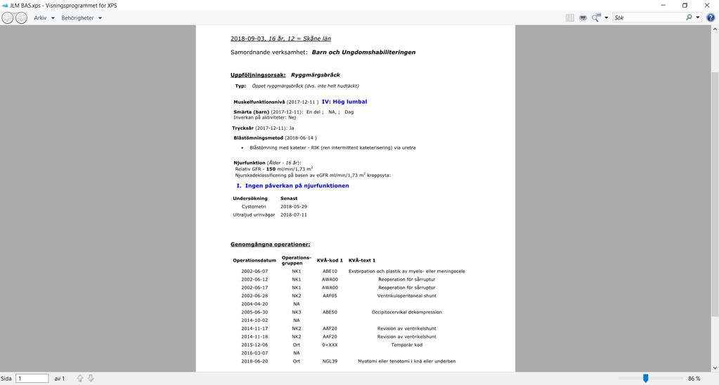 NN född 2002