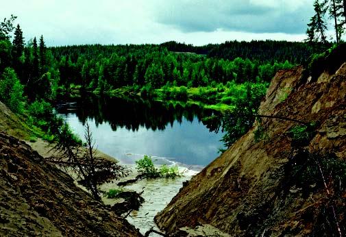 Vid vattendragen finns en dynamisk miljö. I finkorniga sediment orsakar det rinnande vattnet en kraftig erosion som ger upphov till skredärr och raviner.