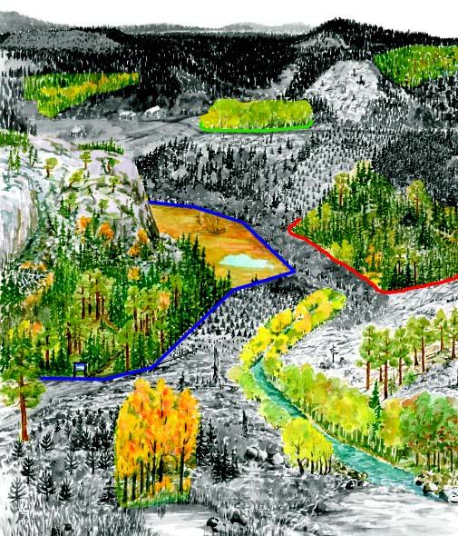18 Figur 3. Så här kan den svenska modellen för naturvård i skogen se ut i landskapet.
