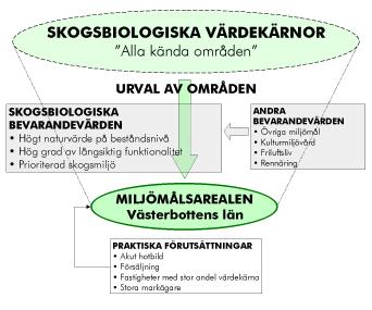 Skyddsarbetet har en värdebaserad ansats. Ett grundkrav för att ett område ska prioriteras för formellt skydd är att det innehåller en skogsbiologisk värdekärna.