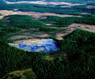 Trakt 18, Berga Sjulsmyran, är flack och talldominerad med stor andel våtmarker. Den är belägen på gränsen mellan Umeå och Robertsfors kommuner. Foto: Länsstyrelsen.
