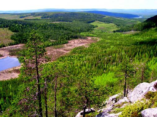 Riksdagen antog 1999 miljömålet Levande skogar, som 2005 omsattes i en nationell strategi utarbetad av Naturvårdsverket och Skogsstyrelsen.