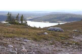 Friluftsliv, turism Besöksnäringen i Arvidsjaurs kommun är betydelsefull. I förhållande till befolkningsantalet ligger man på 10:e plats i landet.