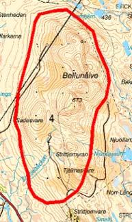 4. Strittjomvare Bellunåive Typ av mark i området Området utgörs av ett skogsområde med inslag av lågfjäll och med brant terräng.