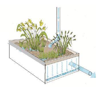 Sida 26 (44) Principskisser över hur dagvattnet föreslås hanteras på förskoletomterna PM Sunneplan, Farsta (2017) Illustration biofilter ovan mark, Dagvattenutredning Dalarö 1 (Bjerking, 2016) Bild