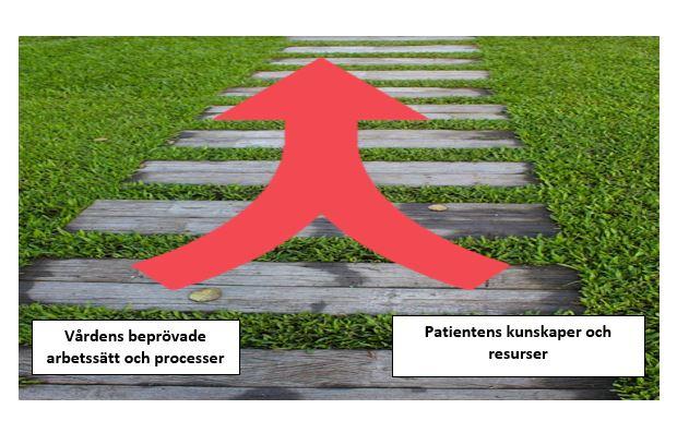 En styrprincip finns definierad för hela VGR`s hälso- och sjukvård.